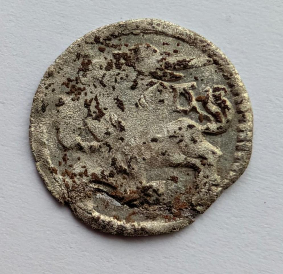 Aleksandro Jogailaičio 1495-1506 denaras