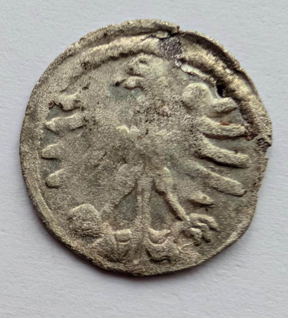 Aleksandro Jogailaičio 1495-1506 denaras