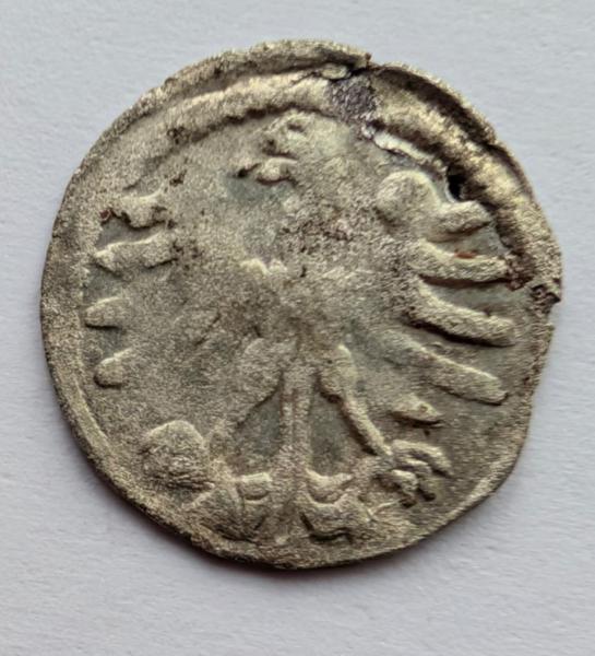 Aleksandro Jogailaičio 1495-1506 denaras