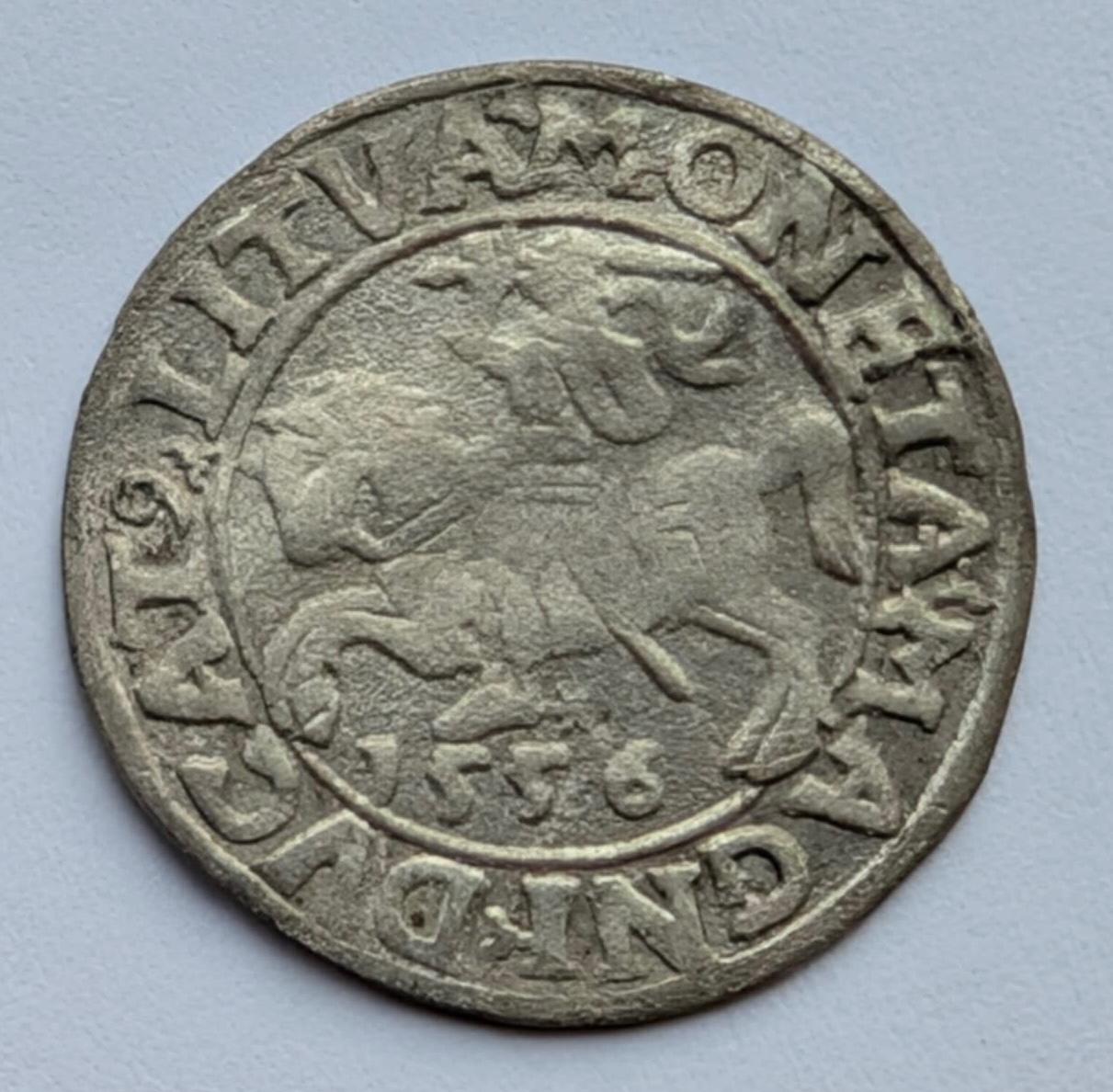 Žygimanto Augusto 1556 pusgrašis 