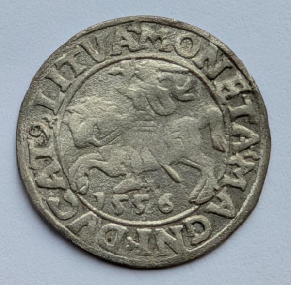 Žygimanto Augusto 1556 pusgrašis 