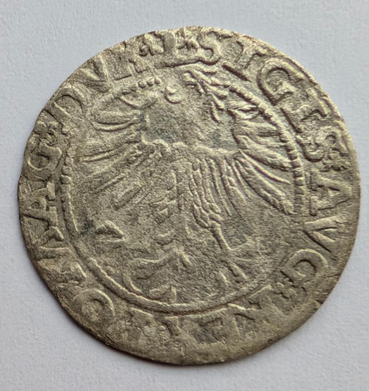 Žygimanto Augusto 1563 pusgrašis 