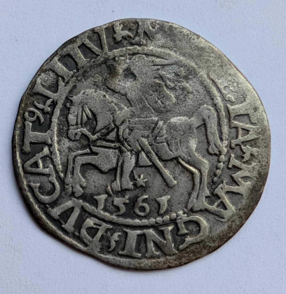 Žygimanto Augusto 1561 pusgrašis 