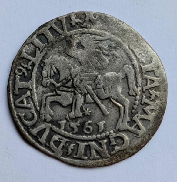 Žygimanto Augusto 1561 pusgrašis 