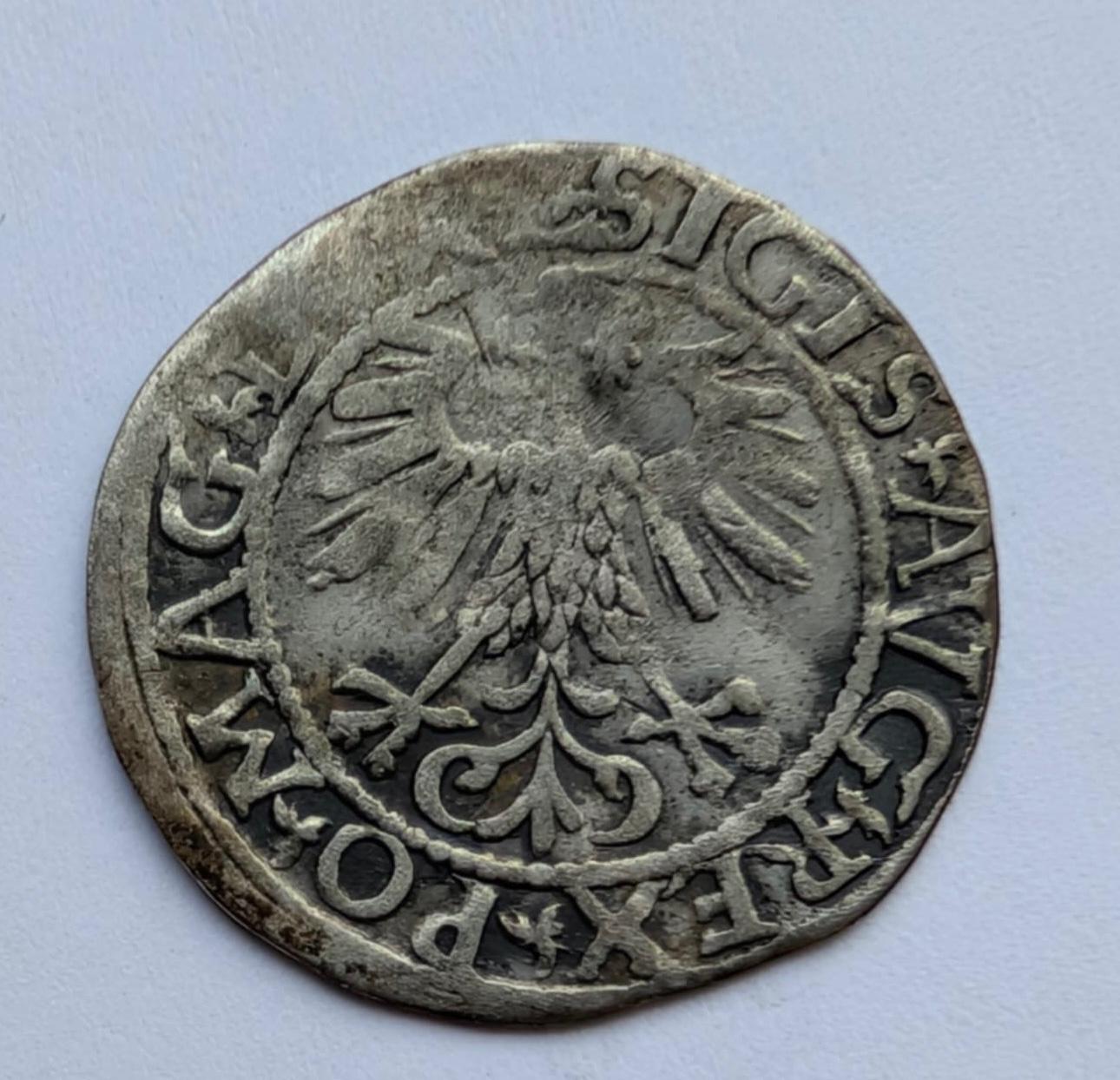 Žygimanto Augusto 1561 pusgrašis 