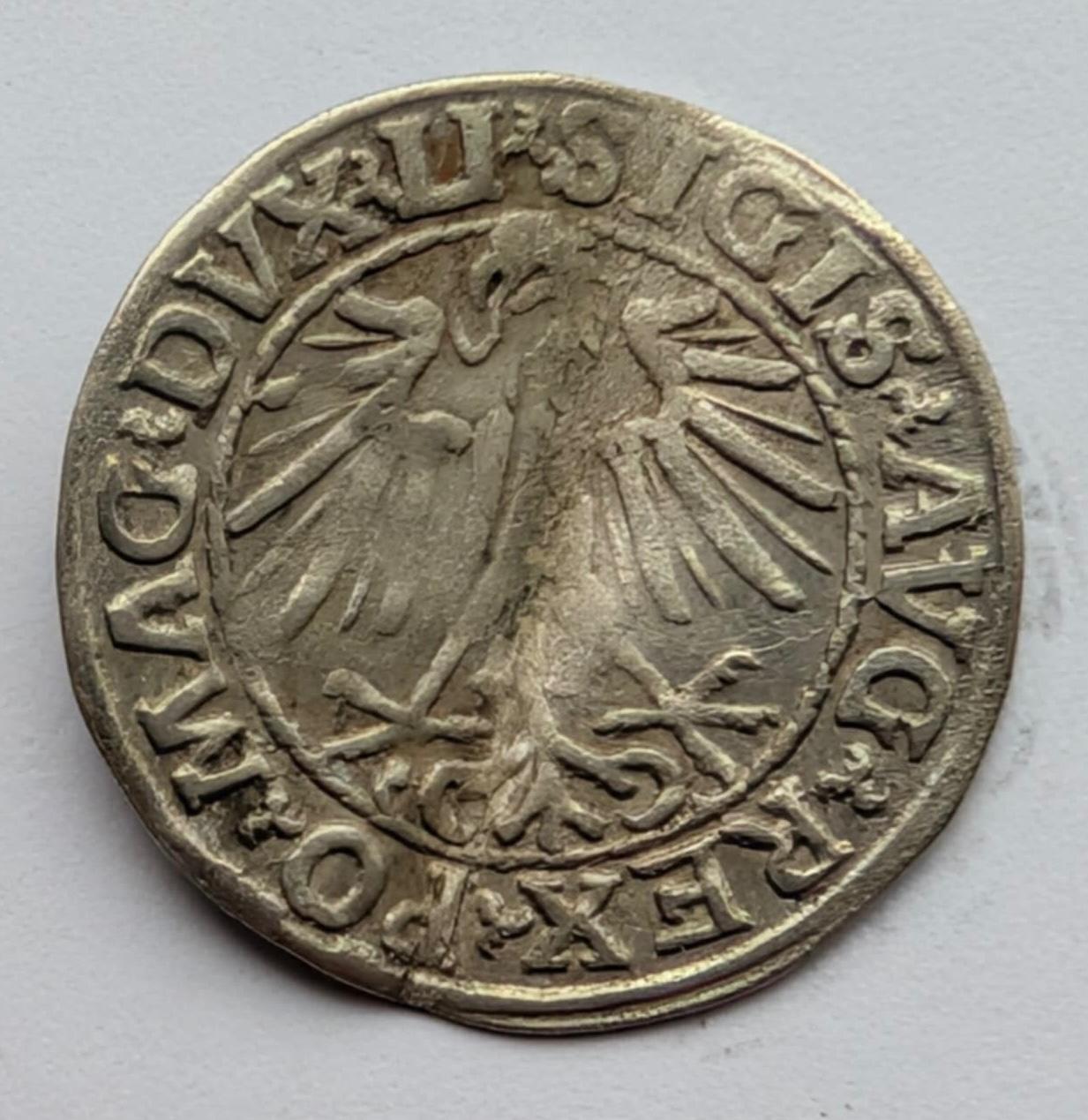 Žygimanto Augusto 1548 pusgrašis 