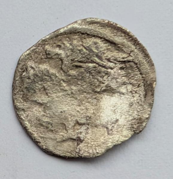 Aleksandro Jogailaičio denaras 1495-1506