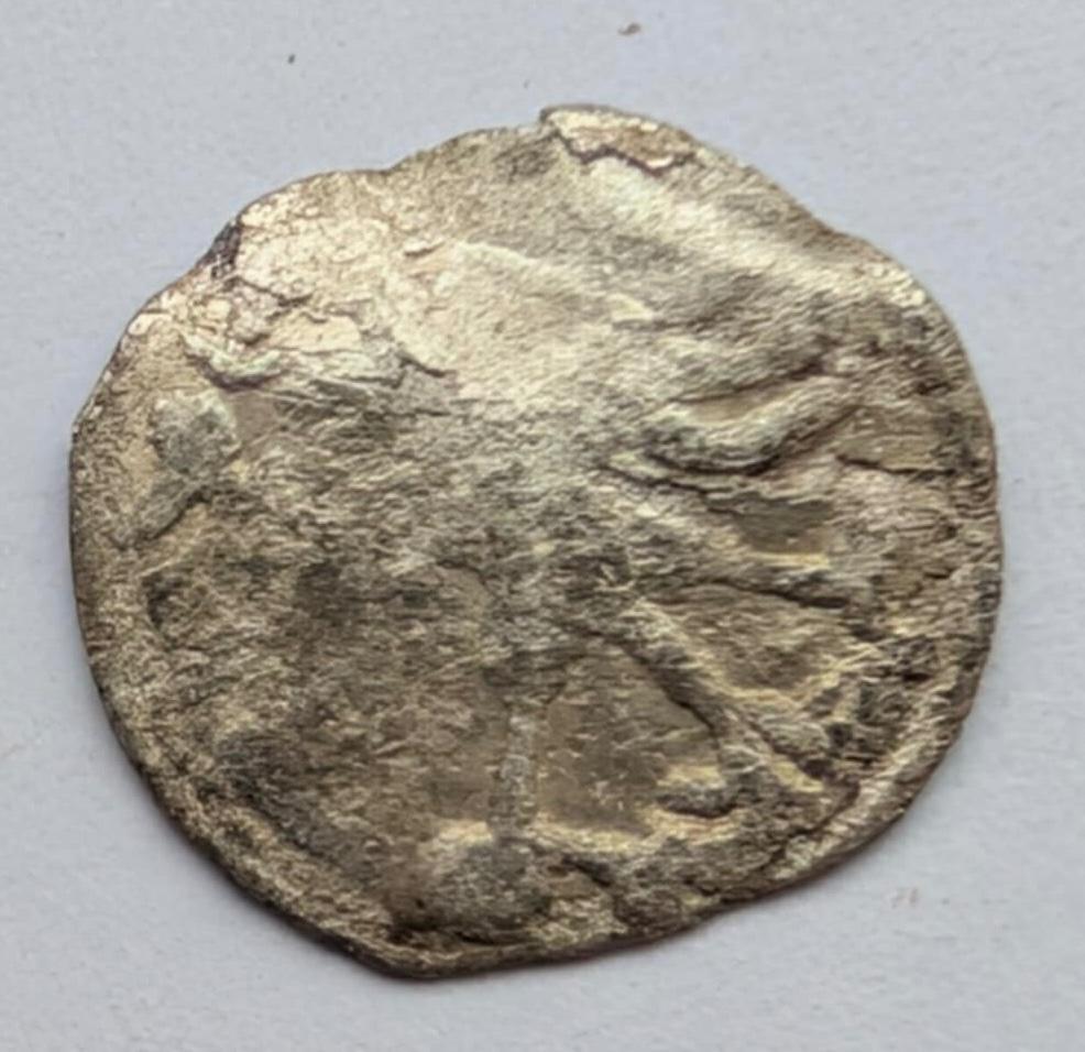 Aleksandro Jogailaičio denaras 1495-1506