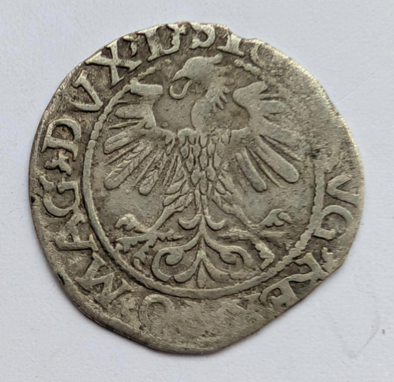 Žygimanto Augusto 1560 pusgrašis 