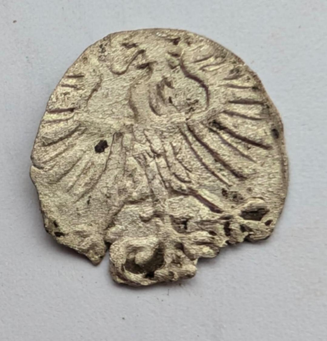 Žygimanto Augusto 155x denaras