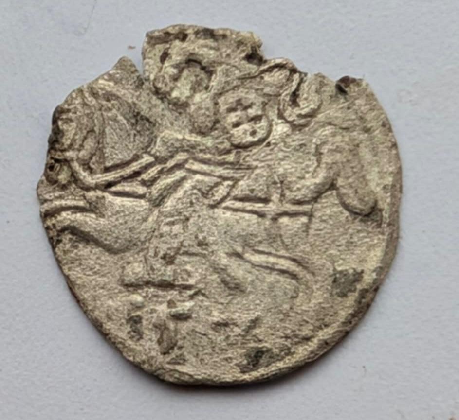 Žygimanto Augusto 155x denaras