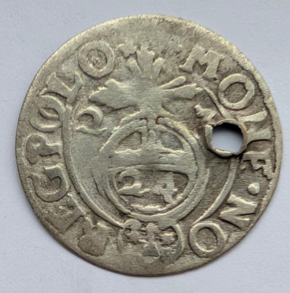 Retas Žygimanto Vazoa 1623 pusantrokas POOLO