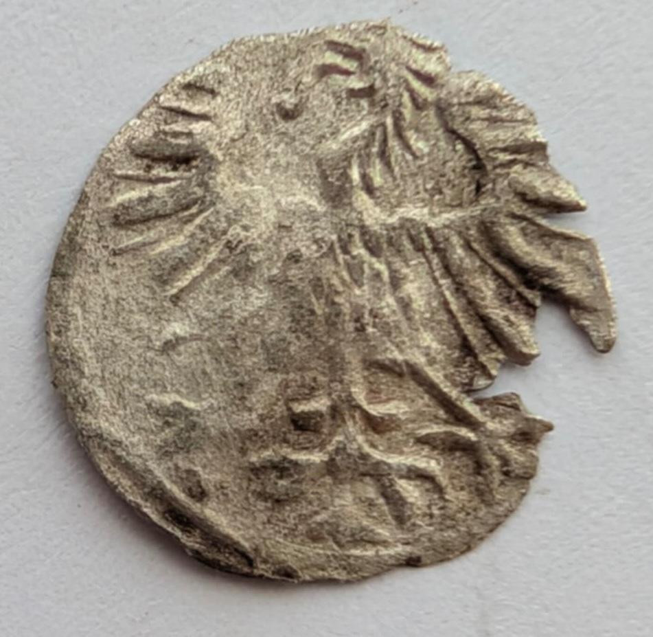 Žygimanto Augusto 1557 denaras 