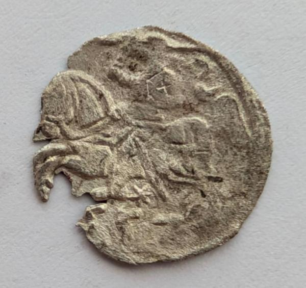 Žygimanto Augusto 1557 denaras 