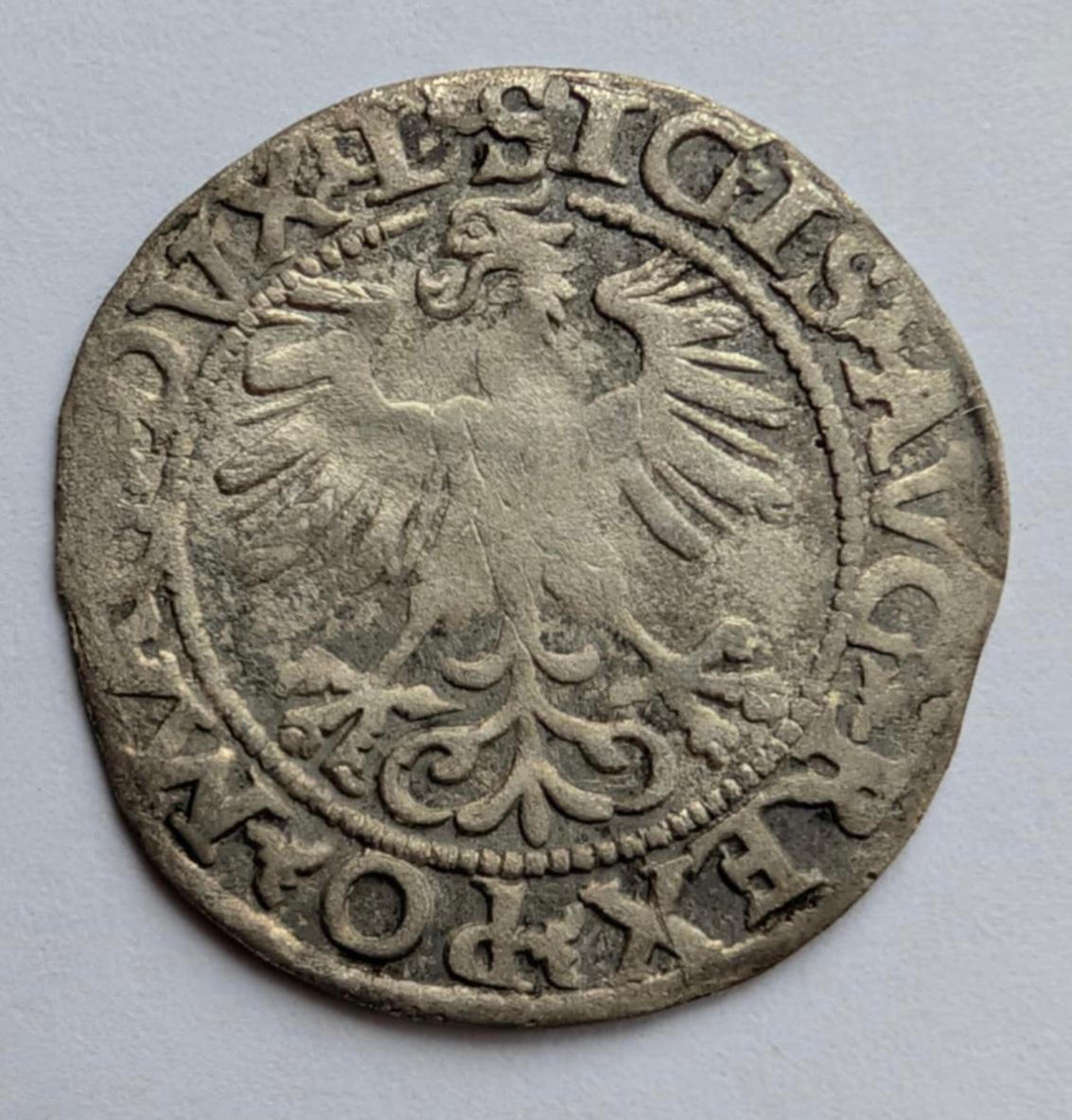 Žygimanto Augusto 1560 pusgrašis 