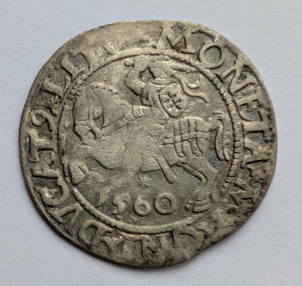 Žygimanto Augusto 1560 pusgrašis 