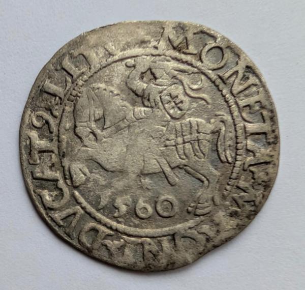 Žygimanto Augusto 1560 pusgrašis 