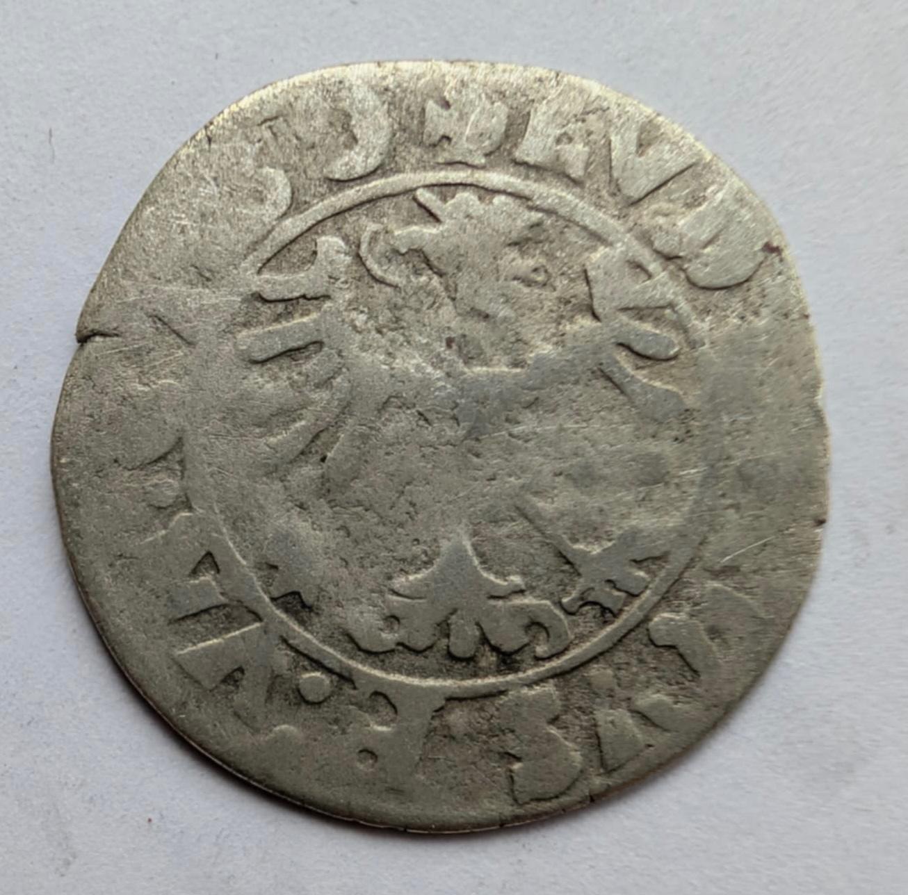 Liudviko II Jogailaičio 1553 pusgrašis, Silezija 