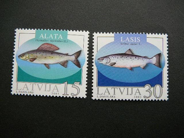 Latvija 2003 Zuvys svarus MNH #