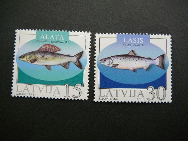 Latvija 2003 Zuvys svarus MNH #
