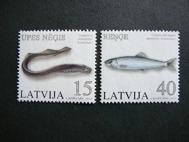 Latvija 2005 Zuvys svarus MNH #