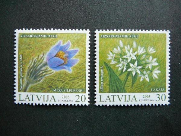 Latvija 2005 Geles svarus MNH #
