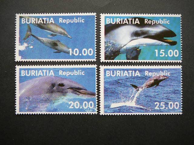 (R) Buriatija 2001 Delfinai svarus MNH #