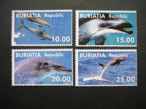 (R) Buriatija 2001 Delfinai svarus MNH #