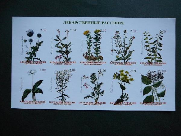 (R) Cerkesija Augalai vaistiniai 2001 svarus #