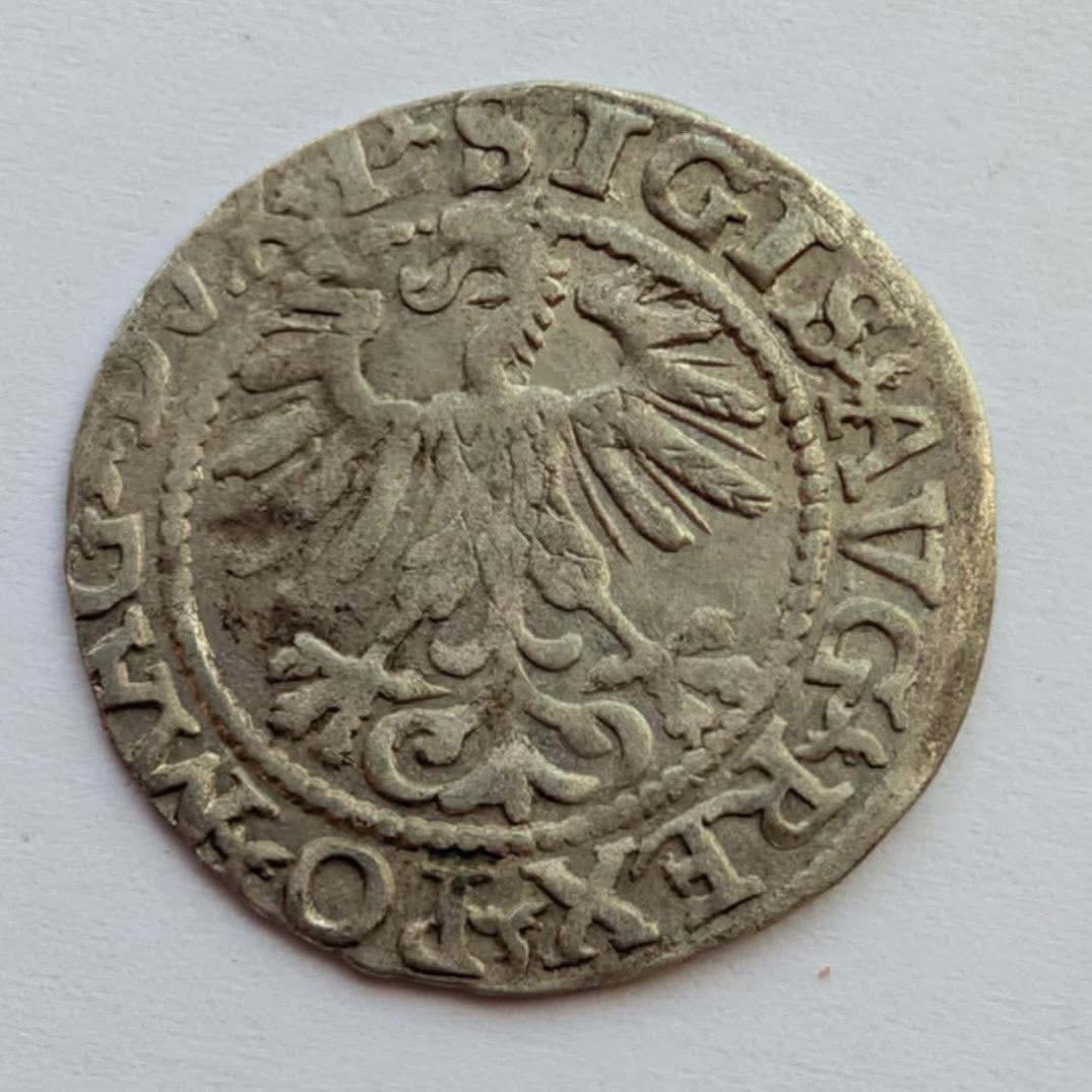 Žygimanto Augusto 1560 pusgrašis 