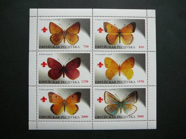 (R) Jewish 2000 Drugeliai svarus #799