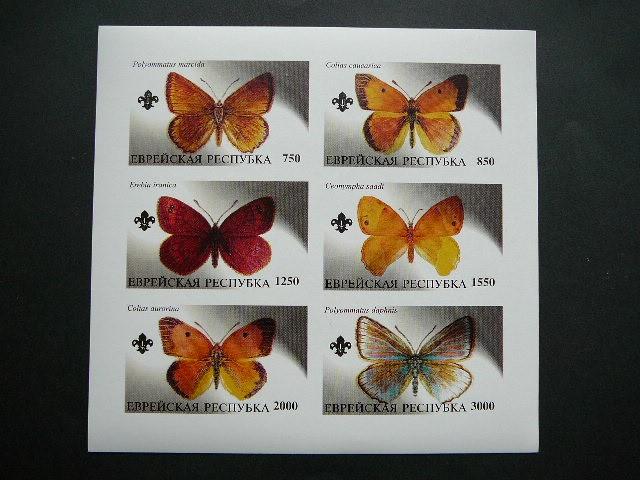 (R) Jewish 2000 Drugeliai svarus #799