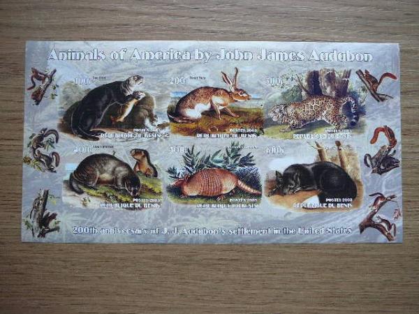 Beninas 2003 Kates laukines Kiskis Audubon svarus #bd