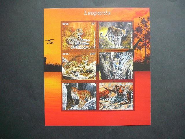 Kamerunas 2016 Leopardai Kates laukines svarus #bd 