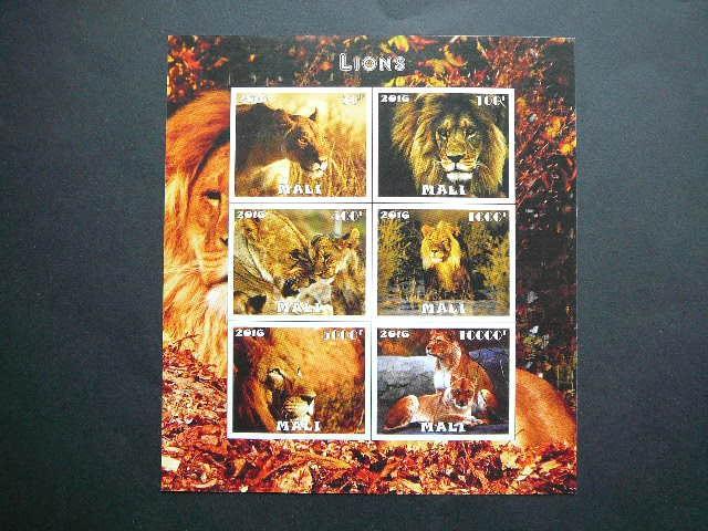 Malis 2016 Liutai Kates laukines svarus #bd