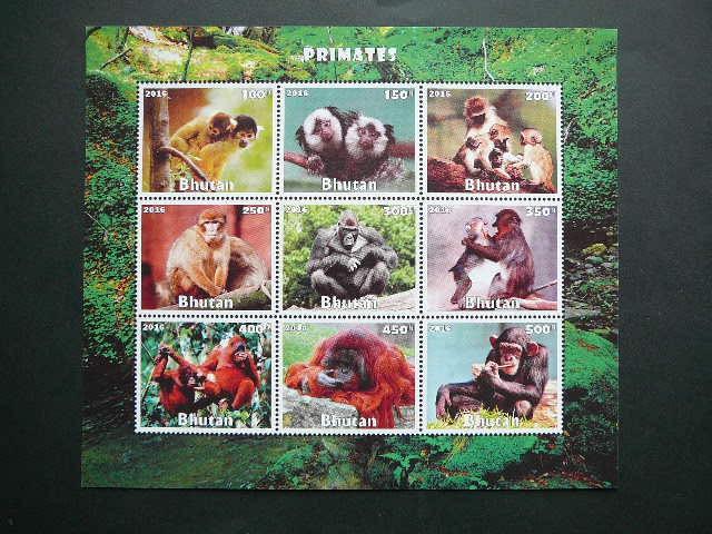 Butanas 2016 Bezdziones svarus #be dant.