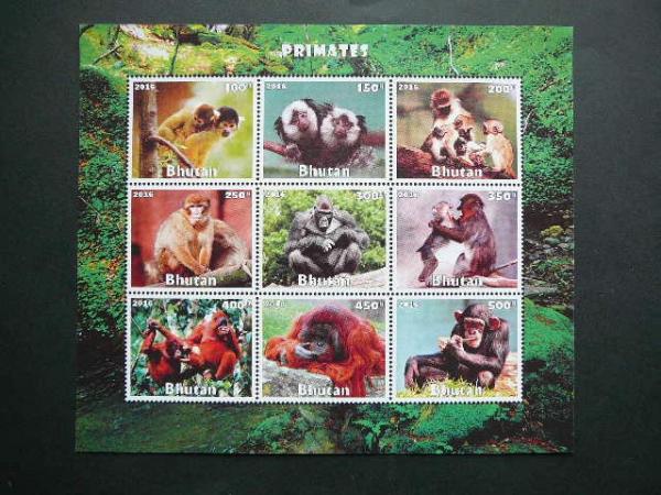 Butanas 2016 Bezdziones svarus #be dant.