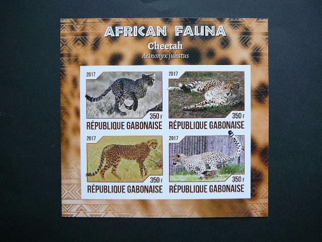 Gabonas 2017 Gepardai Kates laukines svarus #be dant.