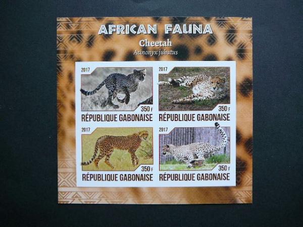 Gabonas 2017 Gepardai Kates laukines svarus #be dant.