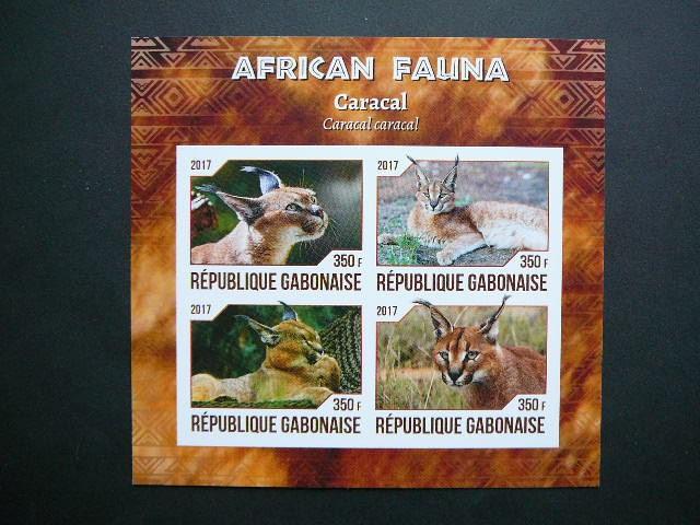 Gabonas 2017 Karakalai Kates laukines svarus #be dant.