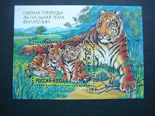 Rusija 1992 Tigrai Kates laukines antsp. # 