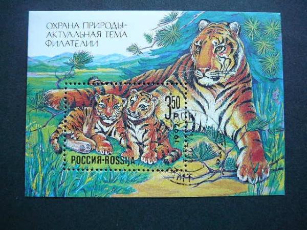 Rusija 1992 Tigrai Kates laukines antsp. # 