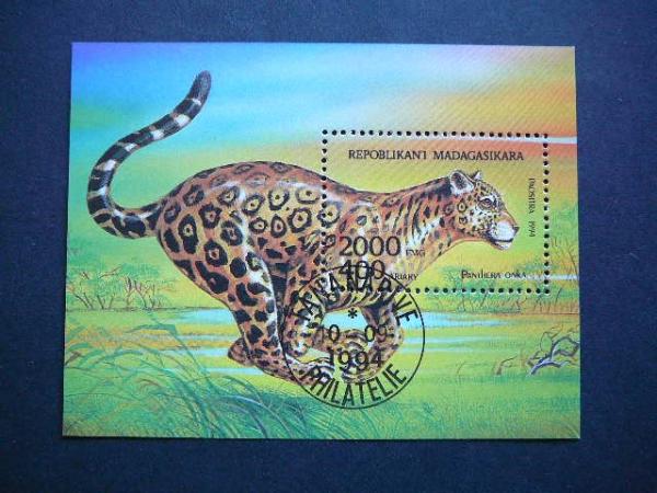 Madagaskaras 1994 Panteros Kates laukines antsp.