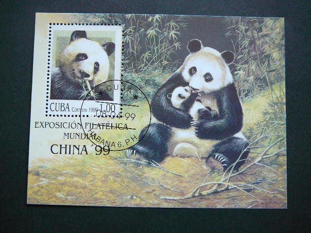 Kuba 1999 Pandos Meskos antsp.
