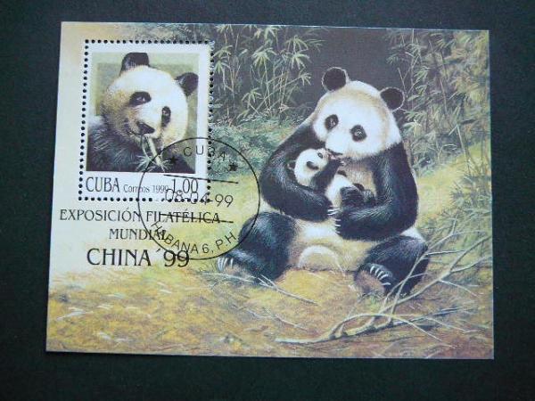 Kuba 1999 Pandos Meskos antsp.