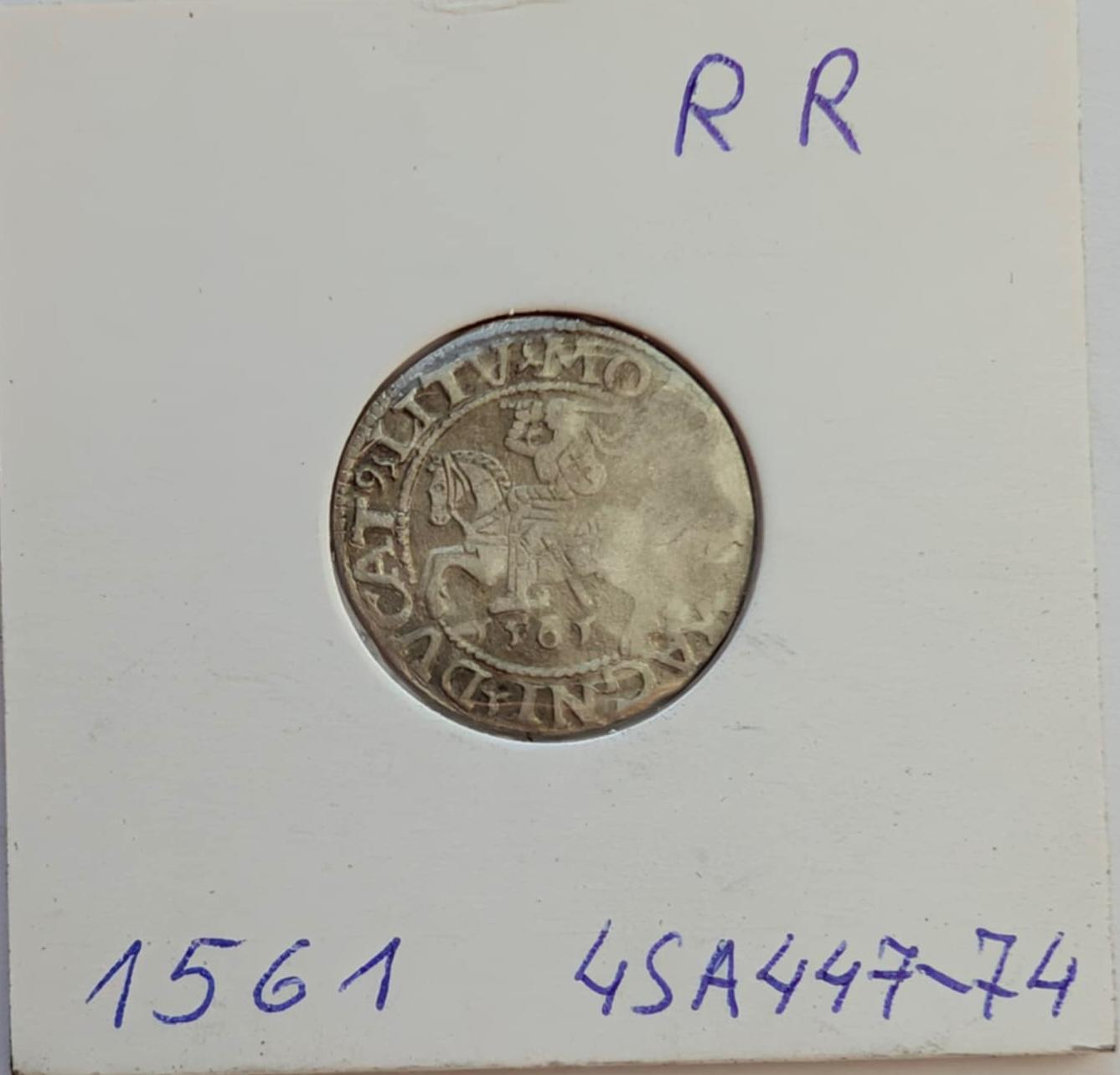 Labai retas Žygimanto Augusto 1561 pusgrašis RR