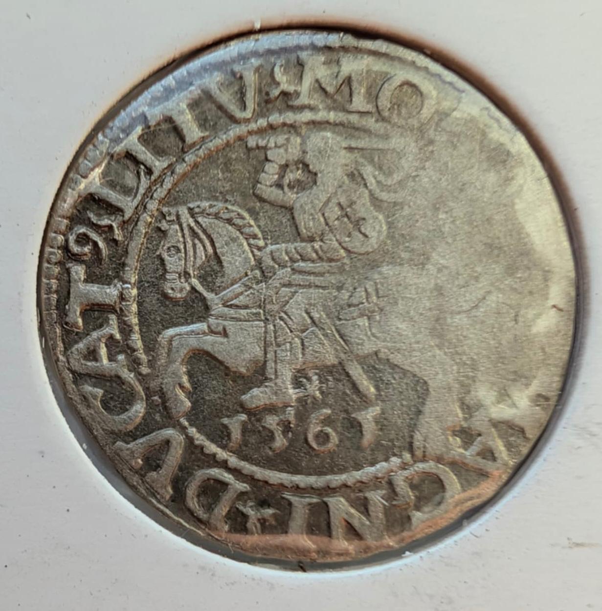 Labai retas Žygimanto Augusto 1561 pusgrašis RR