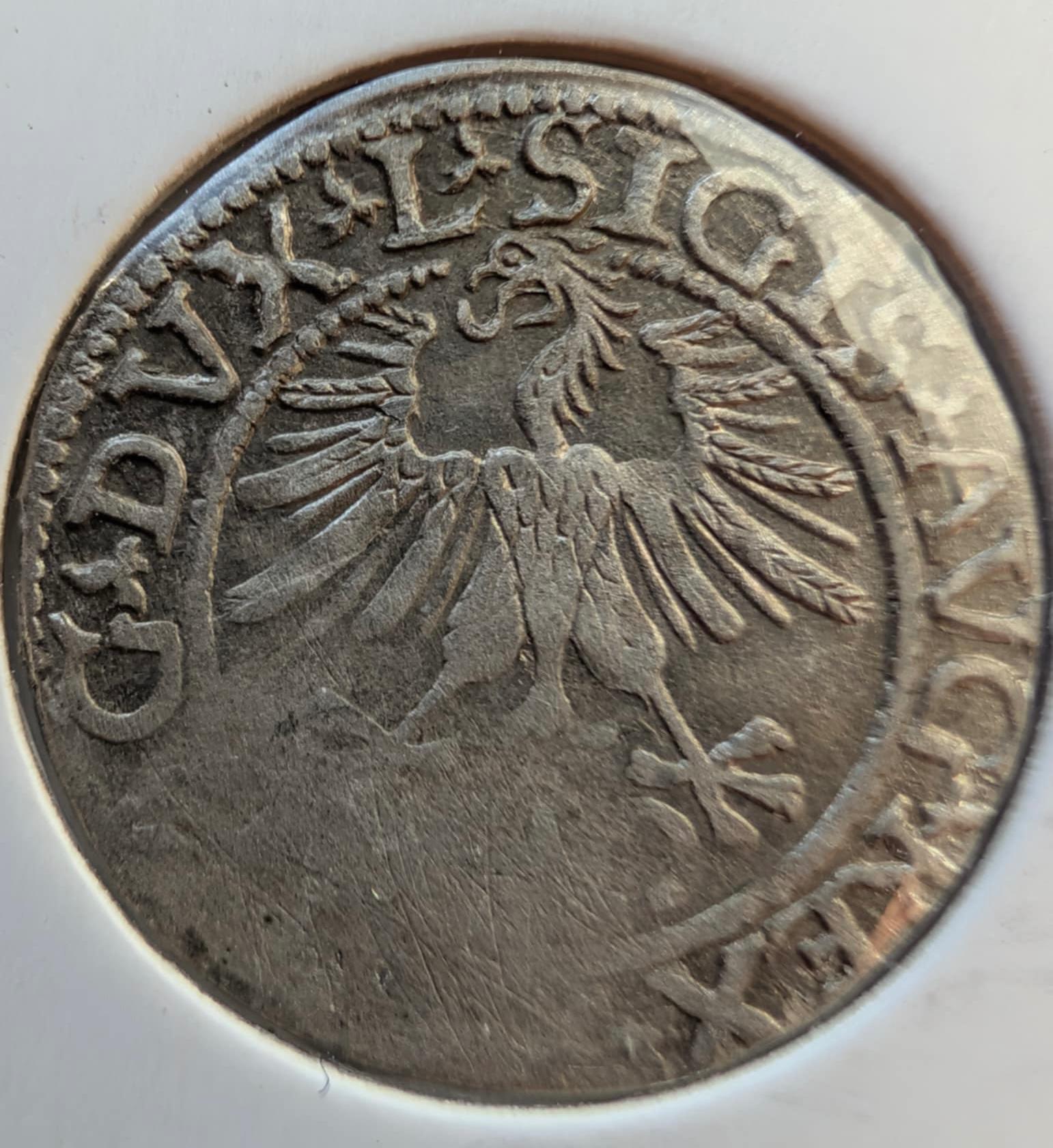 Labai retas Žygimanto Augusto 1561 pusgrašis RR