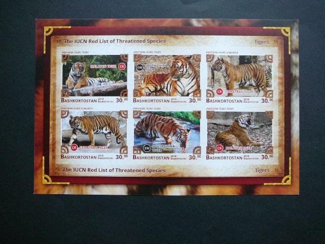 (R) Baskirija 2018 Tigrai Kates laukines svarus #bd