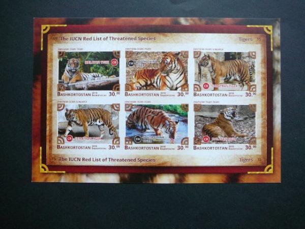 (R) Baskirija 2018 Tigrai Kates laukines svarus #bd